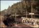 Kipsdorf Altenberg (Erzgebirge) Schmalspurbahn Freital  Bahnhof Kipsdorf  1988 - Kipsdorf