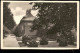 Ansichtskarte Pillnitz SCHLOSS PILLNITZ Partie Im Schloßpark 1930 - Pillnitz