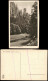 Ansichtskarte Hohnstein (Sächs. Schweiz) Talwächter Im Polenztal 1926 - Hohnstein (Sächs. Schweiz)