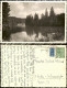 Ansichtskarte Wildemann (Innerstetal) Oberer Spiegeltaler Teich 1950 - Wildemann