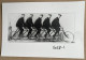 1897 THE OPEL BROTHERS - 15 X 10 Cm. (REPRO PHOTO ! Zie Beschrijving, Voir Description, See Description) ! - Radsport