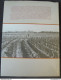 Le Médoc Vignes Et Vignerons Texte R. Pijassou Photographies R. JEAN L'horizon Chimérique 1990 - Aquitaine