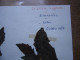 Annees 50 PLANCHE D'HERBIER Du Gard Herbarium Planche Naturelle 21 - Art Populaire
