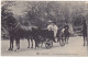 Belgique / Bruxelles - La Princesse Clèmentine En Promenade - 1910 - Berühmte Personen