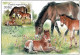 CM 1126 - 9 Czech Republic Milovice 2021 Horse Bison Wisent Bos Primigenius - Postcards