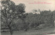 FRANCE - Environs De Valence D'Agen - Vue Sur Le Château De Castels - Carte Postale Ancienne - Valence
