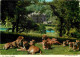 Animaux - Fauves - Lion - Royaume Uni - The Lions Of Longleat - Zoo - CPM - UK - Voir Scans Recto-Verso - Leoni