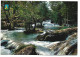 MONASTERIO DE PIEDRA - LOS VADILLOS - THE VADILLOS - LES VADILLOS - ( ZARAGOZA ). - Zaragoza