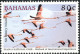 Bahamas 2003 MiNr. 1129 - 1134  Birds American Flamingo Inagua National Park 6v MNH** 9.00 € - Flamingo's