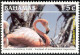 Bahamas 2003 MiNr. 1129 - 1134  Birds American Flamingo Inagua National Park 6v MNH** 9.00 € - Flamingo's