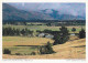 AK 206725 NEW ZEALAND - Farmland Bei Wanaka - Südinsel - Nouvelle-Zélande