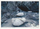 AK 206736 NEW ZEALAND - Am Fox Glacier Auf Der Südinsel - New Zealand
