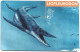 Phonecard - Argentina, Liopleurodon, N°1116 - Collections