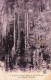 FRANCE - L'Aven Armand - Dans La Forêt Vierge  - Vue Sur Les Aiguilles Géantes- Carte Postale Ancienne - Andere & Zonder Classificatie