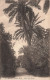ALGÉRIE - Blida - Jardin Bizot - Allée Des Roses - Carte Postale Ancienne - Blida
