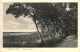 Arendsee In Der Altmark - Promenade - Salzwedel