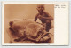 Eritrea - Red Sea Grouper - Publ. Cartoleria A.O. 40 - Erythrée