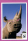 Animaux Animal - Un RHINOCEROS Afrique Sud De L'Asie  Carte WWF  - Rhinocéros
