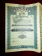 Sofilaine  ,wool & Silk Spinning 1938 Belgium Share Certificate - Textile