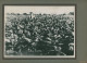 Photo De Plantations De Tabac Dans La Zone De Mata, Bahia Au Brésil En 1938 - Beroepen