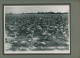 Photo De Plantations De Tabac Dans La Zone De Mata, Bahia Au Brésil En 1938 - Métiers