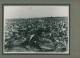 Photo De Plantations De Tabac Dans La Zone De Mata, Bahia Au Brésil En 1938 - Professions