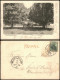 CPA Saargemünd Sarreguemines Partie Aus Dem Stadtpark 1902 - Sarreguemines