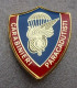 Distintivo Vetrificato - Carabinieri Paracadutisti - Usato Obsoleto - Italian Police Carabinieri Insignia (283) - Polizei