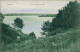 Ansichtskarte Lychen Wurlsee Und Stadt 1909  - Lychen