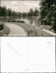 Ansichtskarte Schwetzingen Partie Im Schloßpark Schlossgarten 1962/1960 - Schwetzingen