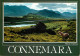 Irlande - Galway - Connemara - Maam Valley - Chevaux - Voir Timbre - Ireland - CPM - Voir Scans Recto-Verso - Galway