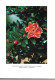 GF1284 - ALBUM COLLECTEUR AVANTI CLUB - LA SUISSE EN FLEURS - Albums & Catalogues