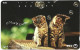 Phonecard - Japan, Kittens 1, N°1157 - Collections