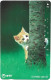 Phonecard - Japan, Kittens 2, N°1158 - Sammlungen