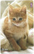 Phonecard - Japan, Kittens 4, N°1160 - Collezioni