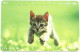 Phonecard - Japan, Kittens 10, N°1166 - Sammlungen