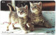 Phonecard - Japan, Kittens 12, N°1168 - Lots - Collections