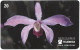 Phonecard - Brazil, Orchids 1, N°1177 - Sammlungen