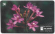 Phonecard - Brazil, Orchids 2, N°1178 - Lots - Collections