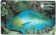 Phonecard - Brazil, Fish 1, N°1180 - Collections