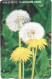 Phonecard - South Korea, Plants, N°1183 - Collezioni