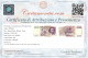 50000 LIRE GIAN LORENZO BERNINI II TIPO LETTERA A 27/05/1992 SUP - Other & Unclassified