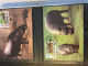 Delcampe - WWF Motiv Bedrohte Tiere, 2 Ringbinder Mit über 200 Seiten, ** - Brief - MK - Collections (en Albums)