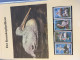 Delcampe - WWF Motiv Bedrohte Tiere, 2 Ringbinder Mit über 200 Seiten, ** - Brief - MK - Collections (en Albums)
