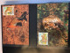 Delcampe - WWF Motiv Bedrohte Tiere, 2 Ringbinder Mit über 200 Seiten, ** - Brief - MK - Collections (en Albums)