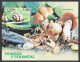Cuba 4551-4555,4556,MNH. Snails And Mushrooms,2005. - Unused Stamps