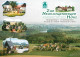 73228503 Klingenberg Sachsen Hotel Restaurant Neuklingenberger Hoehe Panorama Kl - Klingenberg (Sachsen)