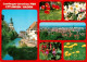 73226697 Ettlingen Partie An Der Alb Blumen Stadtpanorama Ettlingen - Ettlingen