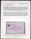 Ltr 1858 - Napoli - Lettera Da Monteleone A Napoli, 2 Gr Rosa Chiaro II (6) Svolazzo Tipo 29 Punti 10, Cert.Viesti - Naples