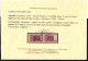 ** 1946-51 Italia Repubblica - 300 Lire Pacchi Postali - Paketmarken